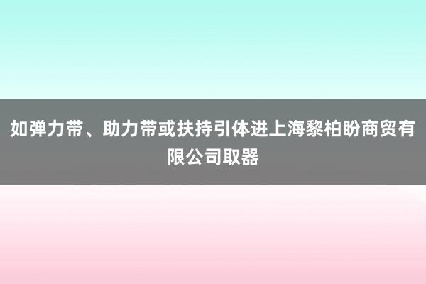 如弹力带、助力带或扶持引体进上海黎柏盼商贸有限公司取器